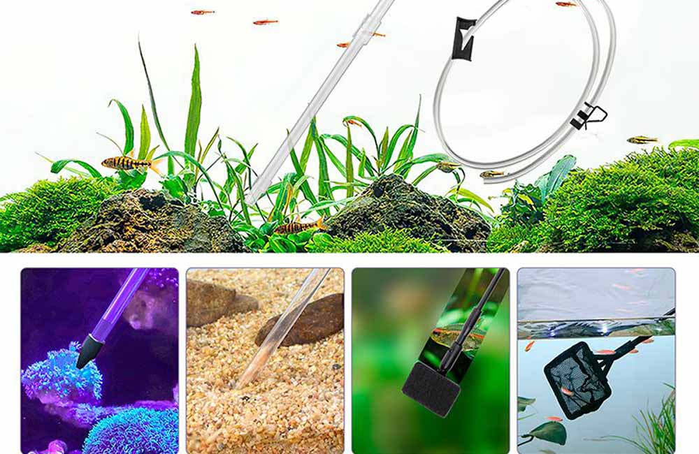 10 gallon fish tank water change