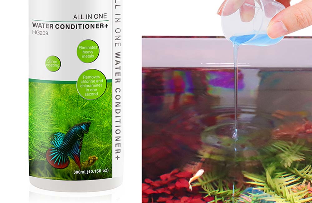 murky fish tank water