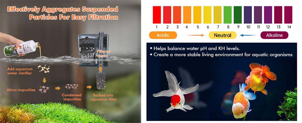 purify water for fish tank