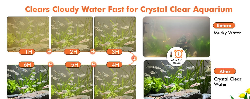 clears cloudy water
