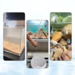water clarifier for freshwater tanks, saltwater tanks, and planted