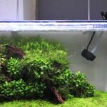 aquarium led light submersible in fish tank