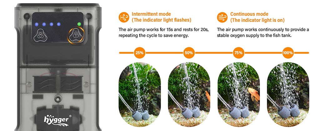 Two pumping air modes