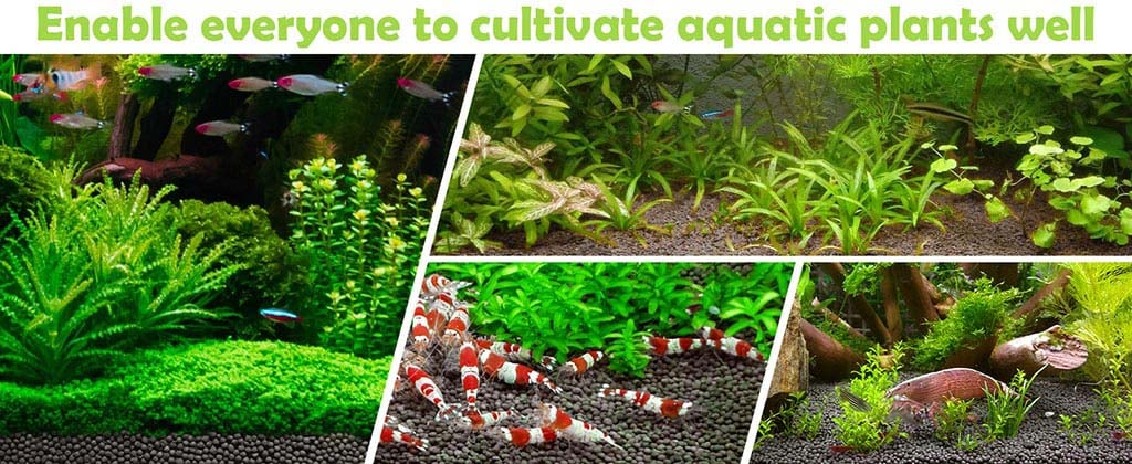 aquarium soil cultivate plants