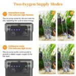 2 oxygen models