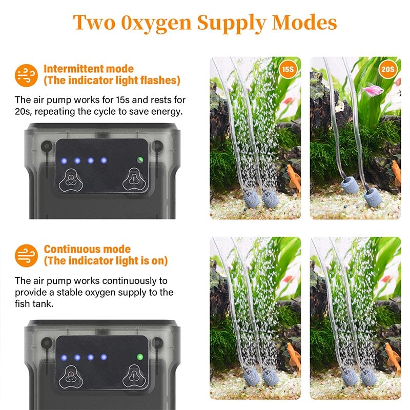 2 oxygen models