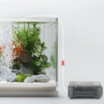 Emergency aquarium air pump
