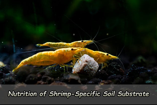Nutrition of Shrimp-Specific Soil Substrate