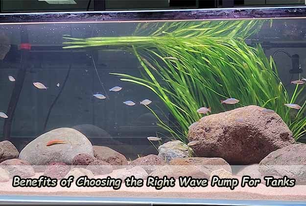Benefits of Choosing the Right Wave Pump For Tanks