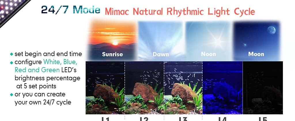 Mimic natural light cycle for fish tank