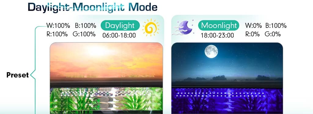 Day light moon light