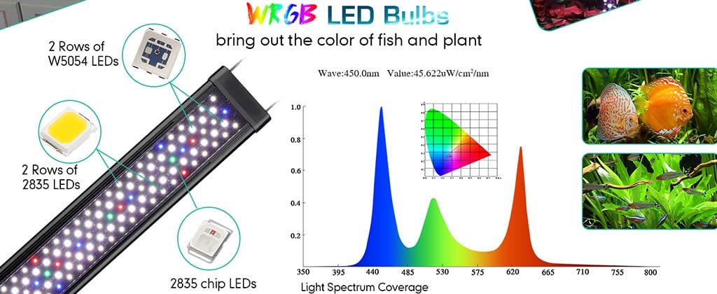 Bring out the color for fish