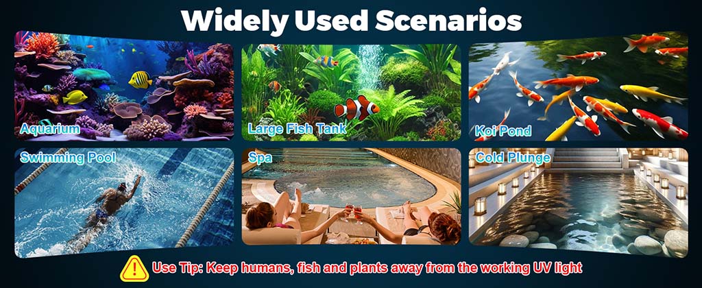 Aquarium UV light used scenarios