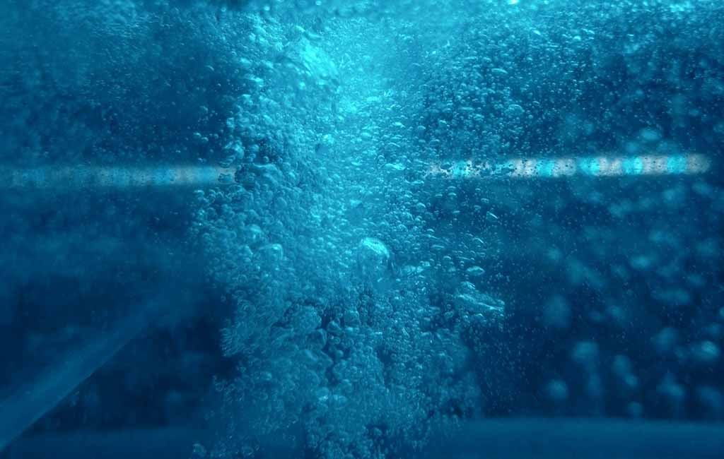purify fish tank water