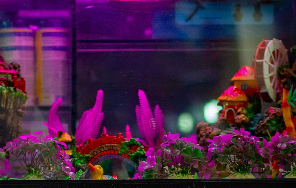 aquarium size guide