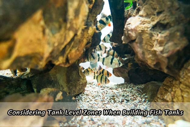 Considering Tank Level Zones When Building Fish Tanks