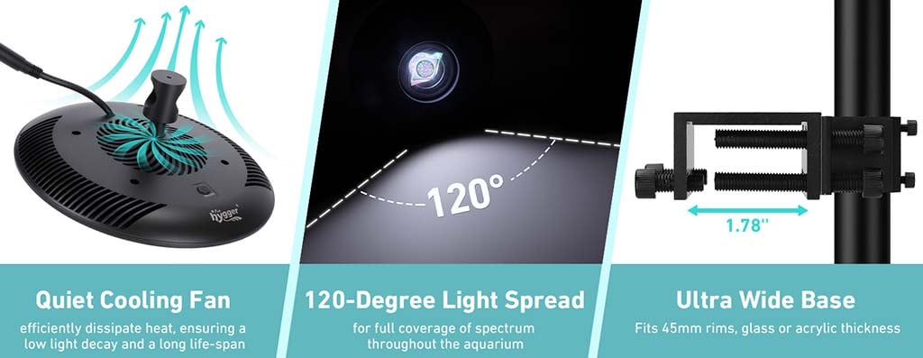120 degree beam angle
