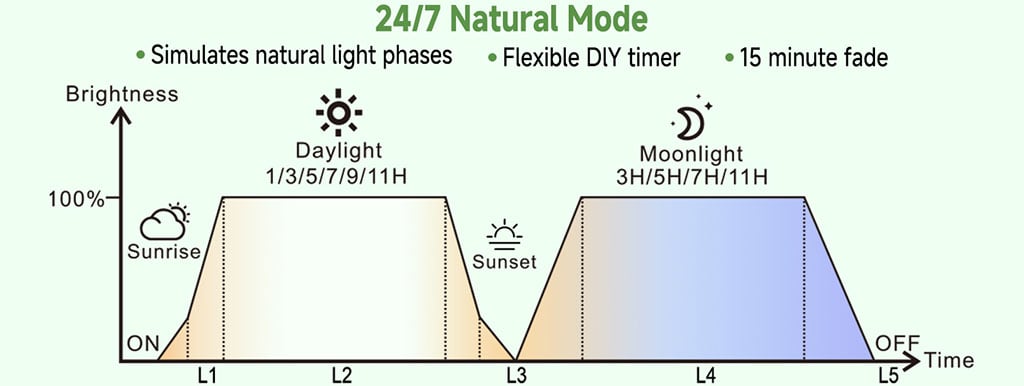 24/7 natural mode lighting