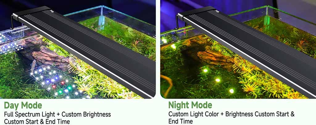 Dual timer for day-night modes