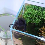 change water automatically
