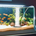 Air stone for fish tanks, hydroponic system