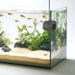 Easy to install DC wave pump