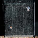 Aquarium bubble strip dense bubbles