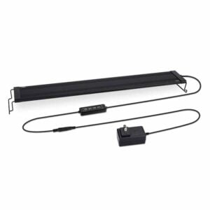 Dual timer for M-light and D-light