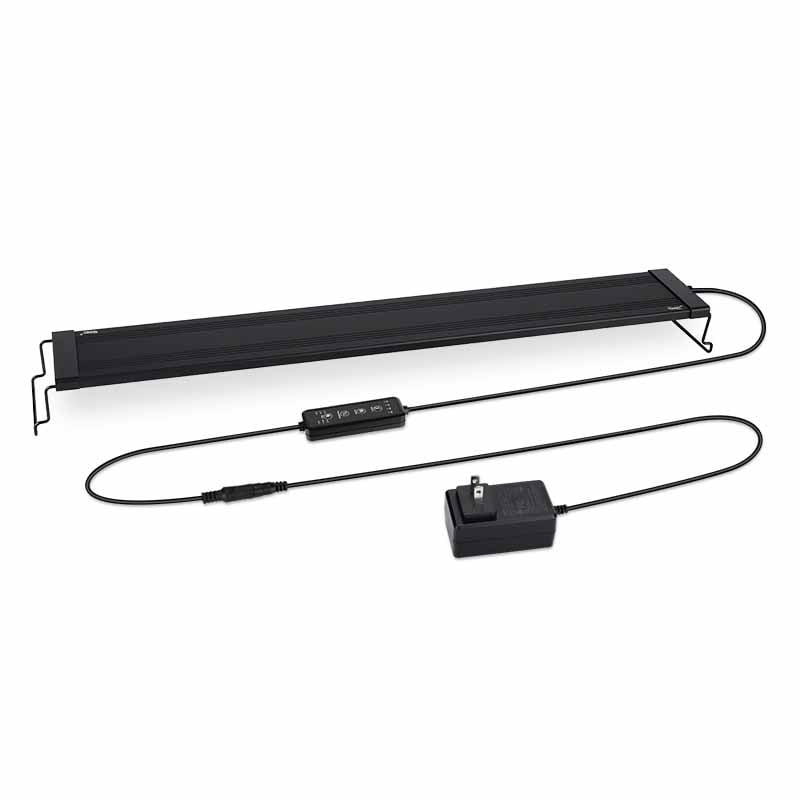 Dual timer for M-light and D-light