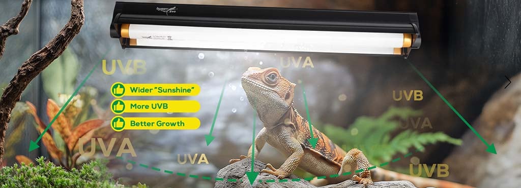 Wide UVB lighting for reptiles