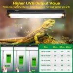 high UVB output