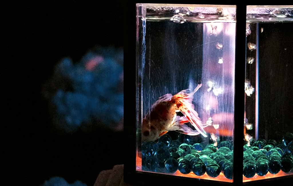 what is a submersible led light