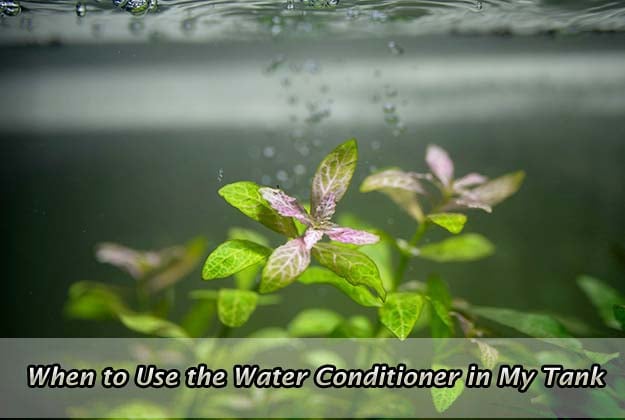 When to Use the Water Conditioner in My Tank