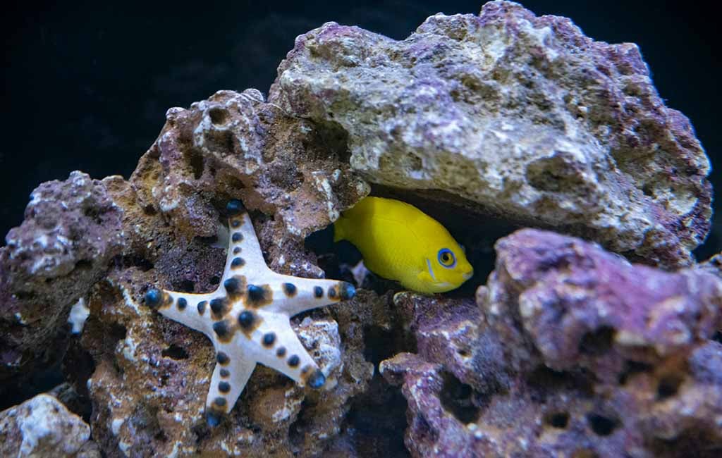 prevent tank water problems