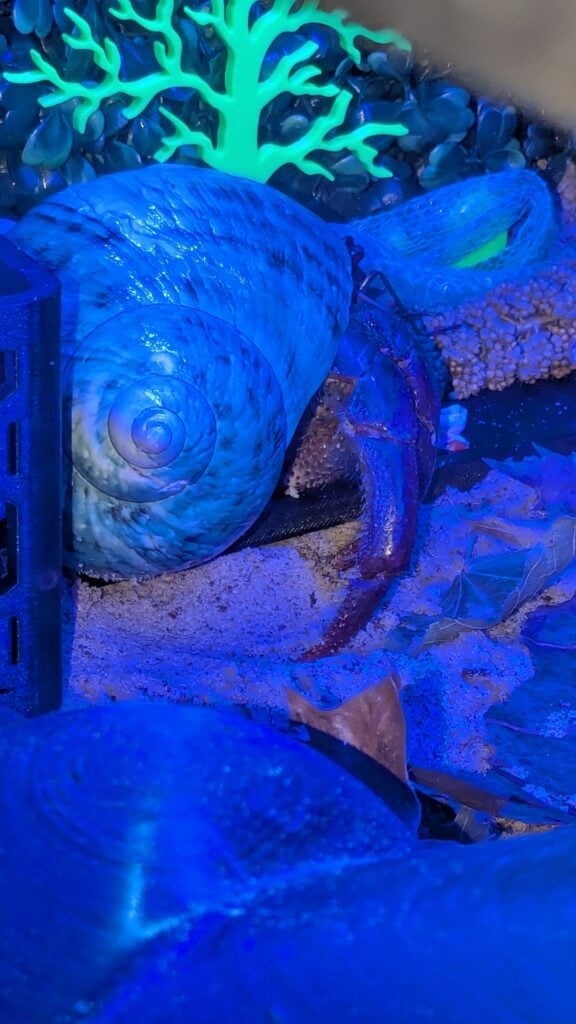 Image #2 from Jessica Smith