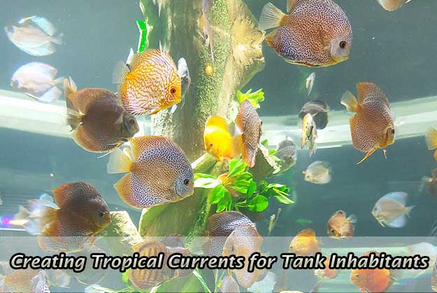 Creating Tropical Currents for Tank Inhabitants