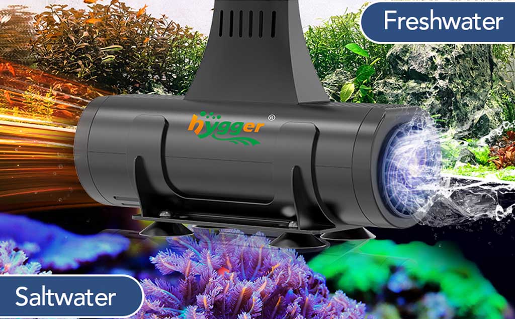 do your tank need a heat wave