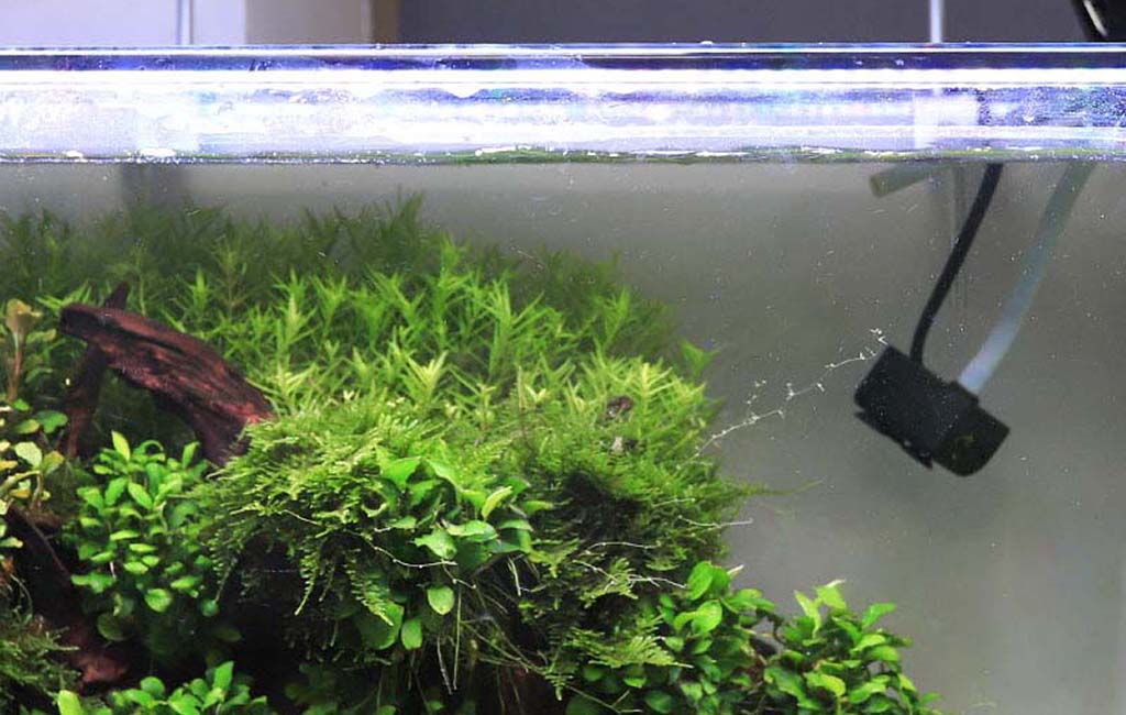 submersible led lights