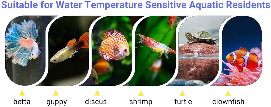 Heater for sensitive aquatic pets