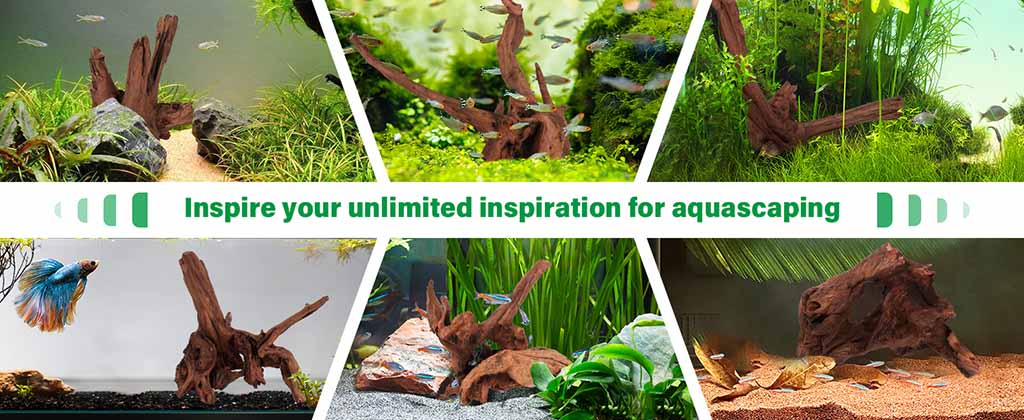 natural wood inspiration for aquascaping