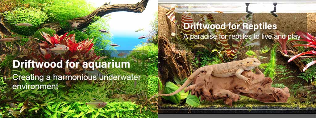 HC013 driftwood for aquascaping and reptile tanks