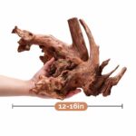 Natural coral wood