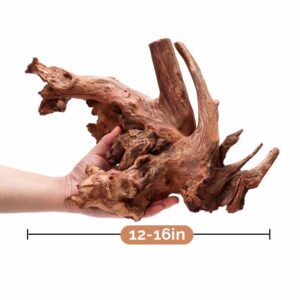 Natural coral wood