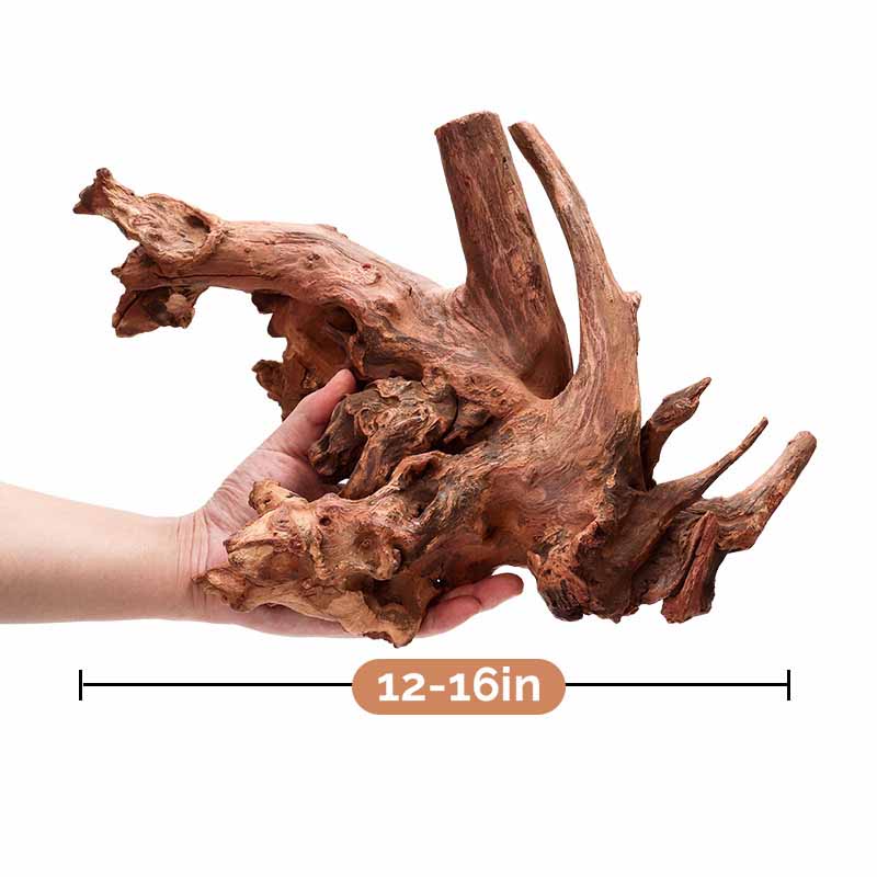 Natural coral wood