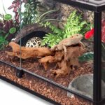 Coral wood for aquarium and reptiles