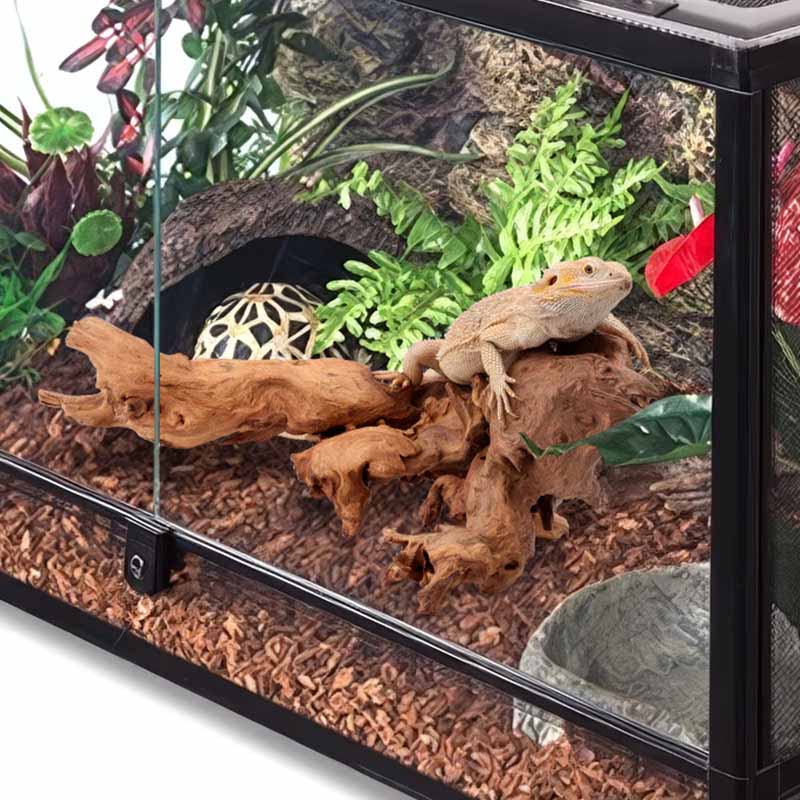 Coral wood for aquarium and reptiles