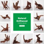 Natural aquarium driftwood teak