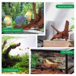 Natural teak wood for aquascape decoration reptiles