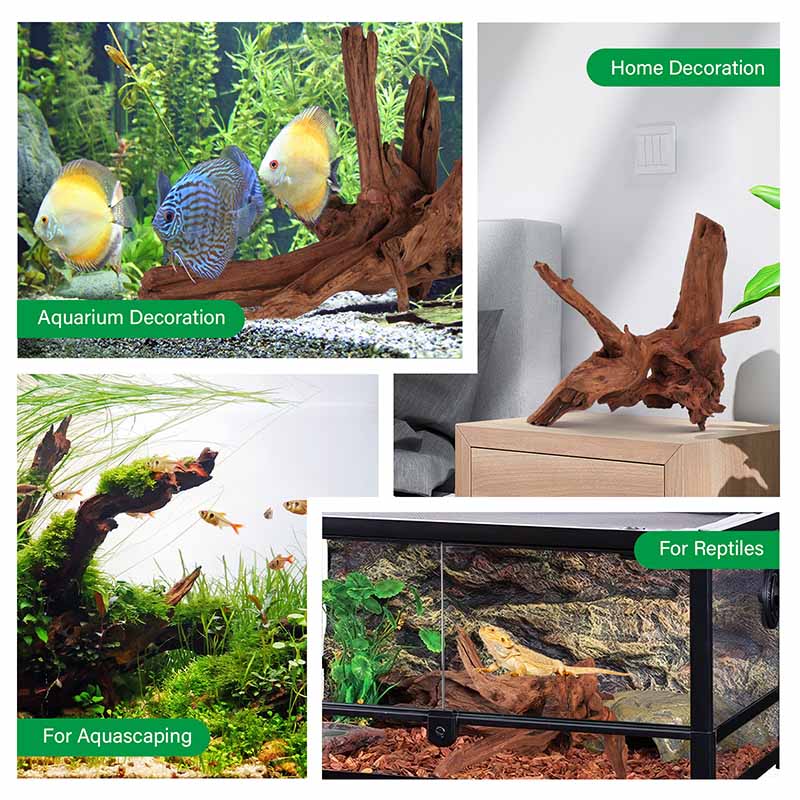 Natural teak wood for aquascape decoration reptiles