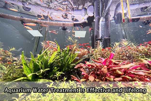 Aquarium Water Treatment Is Effective and Lifelong